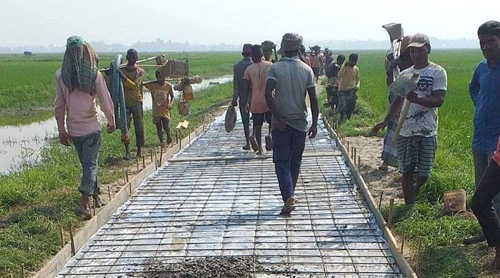 নিজেদের অর্থেই হাওরে ধান তোলার সড়ক নির্মাণ করছেন কৃষকরা