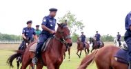 ভারত থেকে পুলিশের জন্য কেনা হলো উন্নতমানের ১০টি রাইডিং ঘোড়া