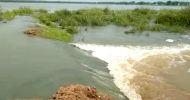 সুনামগঞ্জে আবারও বাঁধে ভাঙন: ডুবছে ফসল-কৃষকের স্বপ্ন