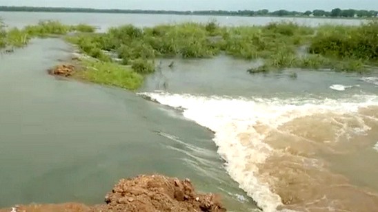 সুনামগঞ্জে আবারও বাঁধে ভাঙন: ডুবছে ফসল-কৃষকের স্বপ্ন