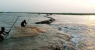শাল্লায় তলিয়ে গেছে ৫শ কেয়ার ধান : কৃষকরা নির্বাক