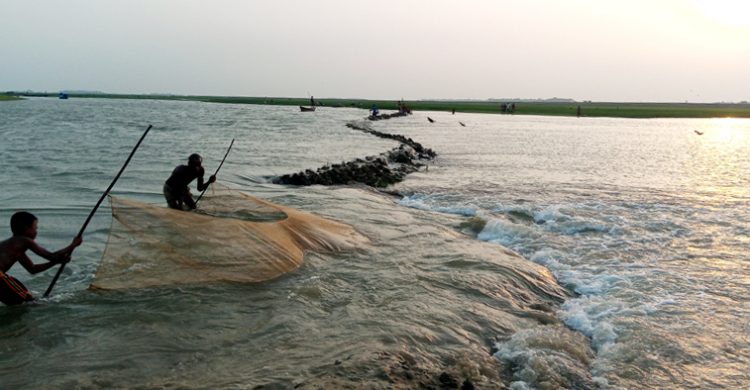 শাল্লায় তলিয়ে গেছে ৫শ কেয়ার ধান : কৃষকরা নির্বাক