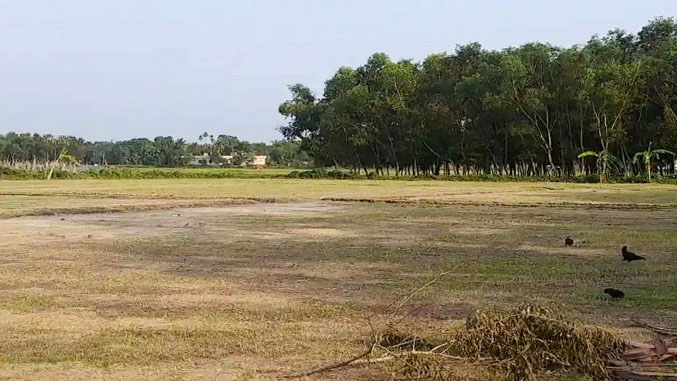মাধবপুরে শত বছরের পুরনো খেলার মাঠে হচ্ছে চা বাগান