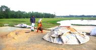 ধান ঘরে তুলে শঙ্কাহীন হাওর পাড়ের কৃষকরা
