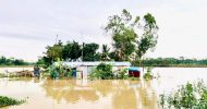 বিয়ানীবাজারের ৭০ হাজার মানুষ পানিবন্দি