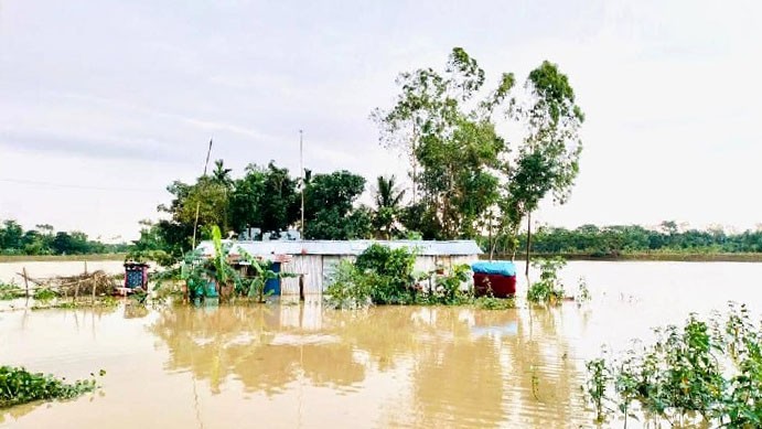 বিয়ানীবাজারের ৭০ হাজার মানুষ পানিবন্দি