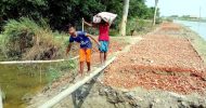 গোয়াইনঘাটে পাকা সড়কে বাঁশের সাঁকোই এখন ভরসা