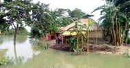 গোয়াইনঘাটের লক্ষাধিক মানুষ ফের পানিবন্দি