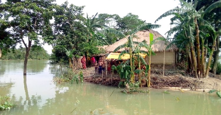 গোয়াইনঘাটের লক্ষাধিক মানুষ ফের পানিবন্দি