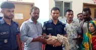 সুনামগঞ্জে কবরস্থানে মিলল কান্নারত নবজাতক!