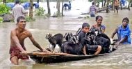 সুনামগঞ্জে বন্যায় ১৭শ’ কোটি টাকার ক্ষয়ক্ষতি