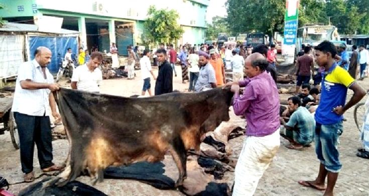 সিলেটে গরুর চামড়ার দাম কম, ছাগলে আগ্রহ নেই ব্যবসায়ীদের