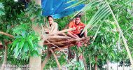 সুনামগঞ্জে গাছের ডালে জুলেখা ও রাকিবের ১৭ দিন!