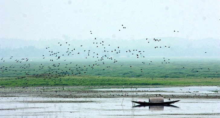 শ্রীমঙ্গলের বাইক্কা বিলে পর্যটক প্রবেশে নিষেধাজ্ঞা জারি